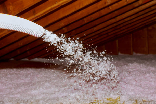 Best Energy Efficiency Solutions in Farmville, NC